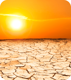 sun and desert